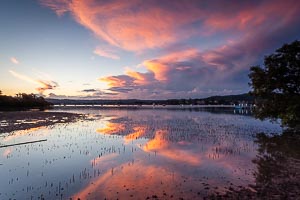 Picture of Green Point, Central Coast, New South Wales, Australia
