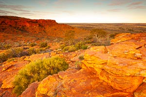 Picture of Kings Canyon Watarrka National Park, Central Australia, Northern Territory, Australia