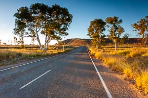 Picture of Kings Canyon Watarrka National Park, Central Australia, Northern Territory, Australia