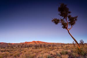 Picture of Kings Canyon Watarrka National Park, Central Australia, Northern Territory, Australia