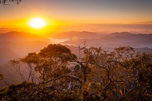Picture of New England National Park, New England Tablelands, New South Wales, Australia
