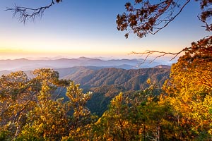 Picture of New England National Park, New England Tablelands, New South Wales, Australia