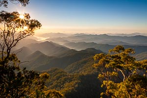 Picture of New England National Park, New England Tablelands, New South Wales, Australia