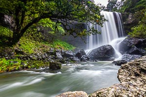 Picture of Atherton Tablelands, Far North Queensland, Queensland, Australia