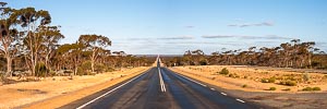 Picture of Nullarbor Plain, Eyre Peninsula and West, South Australia, Australia