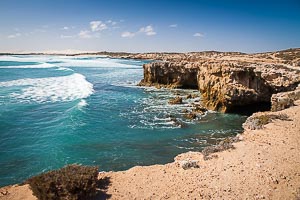 Picture of Cactus Beach, Eyre Peninsula and West, South Australia, Australia