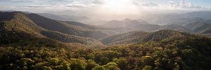 Picture of Tapin Tops National Park, Mid North Coast, New South Wales, Australia