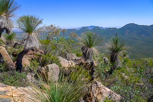 Picture of Flinders Ranges National Park, Flinders and Mid North, South Australia, Australia