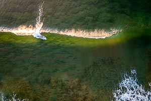 Picture of Avoca Beach, Central Coast, New South Wales, Australia