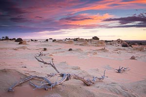Picture of Mungo National Park, Far West, New South Wales, Australia