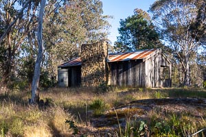 Picture of Kanangra Boyd National Park, Central West, New South Wales, Australia