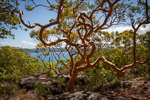 Picture of Broken Bay, Central Coast, New South Wales, Australia