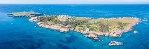Picture of Montague Island, South East, New South Wales, Australia