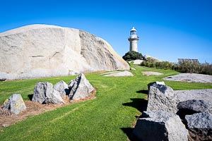 Picture of Montague Island, South East, New South Wales, Australia