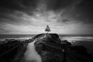 Picture of Tuross Head, South East, New South Wales, Australia