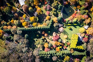 Picture of Mount Wilson, Blue Mountains National Park, New South Wales, Australia