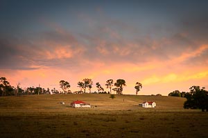 Picture of Uralla, New England Tablelands, New South Wales, Australia