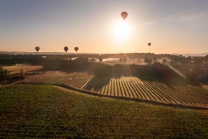 Picture of Hunter Valley, The Hunter, New South Wales, Australia
