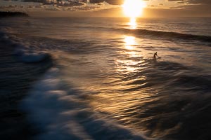 Picture of Shelly Beach, Central Coast, New South Wales, Australia
