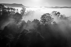 Picture of Kangaroo Valley, Southern Highlands, New South Wales, Australia