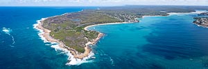 Picture of Royal National Park, Illawarra, New South Wales, Australia