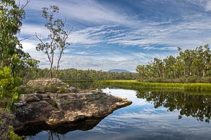 Picture of Ganguddy Dunns Swamp, Central West, New South Wales, Australia
