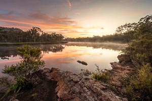 Picture of Ganguddy Dunns Swamp, Central West, New South Wales, Australia