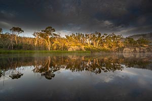 Picture of Ganguddy Dunns Swamp, Central West, New South Wales, Australia