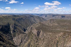 Picture of Oxley Wild Rivers National Park, New England Tablelands, New South Wales, Australia