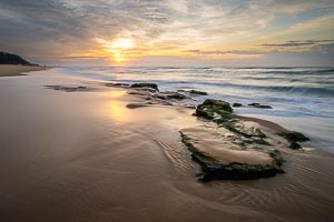 Picture of Wamberal, Central Coast, New South Wales, Australia