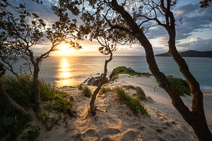 Picture of Forster Tuncurry, Mid North Coast, New South Wales, Australia