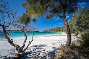 Picture of Jervis Bay, Illawarra, New South Wales, Australia