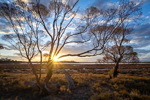 Picture of Murray Sunset National Park, Mallee, Victoria, Australia