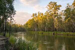 Picture of Murray Valley National Park, The Riverina, New South Wales, Australia