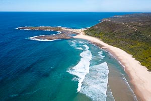 Picture of Munmorah State Conservation Area, Central Coast, New South Wales, Australia