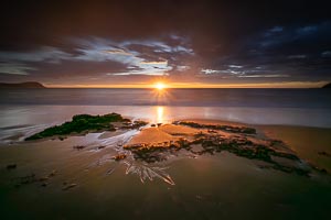 Picture of Terrigal, Central Coast, New South Wales, Australia