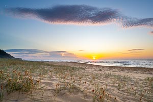 Picture of Spoon Bay, Central Coast, New South Wales, Australia