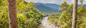 Picture of Tully Gorge National Park, Far North Queensland, Queensland, Australia