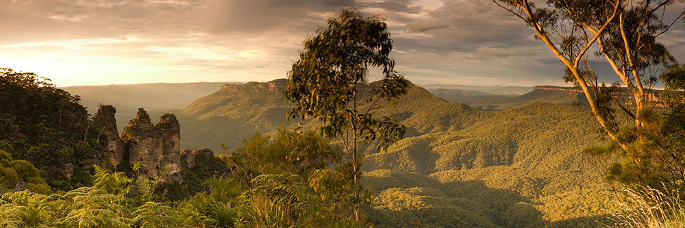Blue Mountains National Park