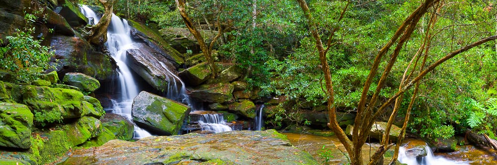 Brisbane Water National Park