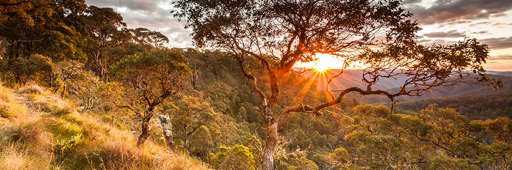 Guy Faulks River National Park