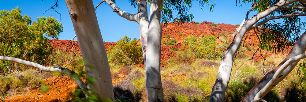 Murujuga National Park