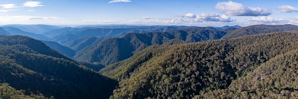 Werrikimbe National Park