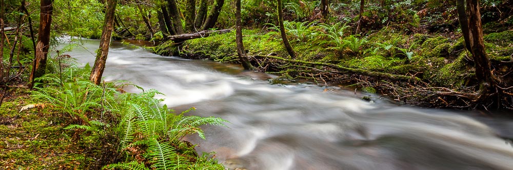 Franklin Gordon Wild Rivers National Park