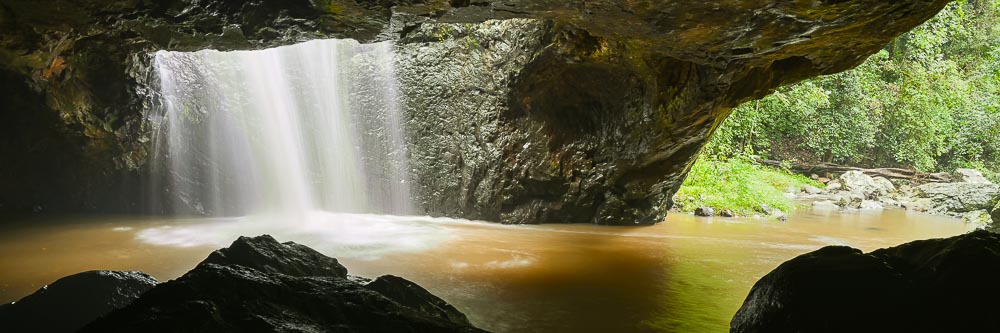 Springbrook National Park