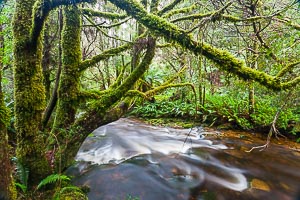 View Franklin Gordon Wild Rivers National Park
