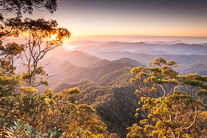 View New England National Park