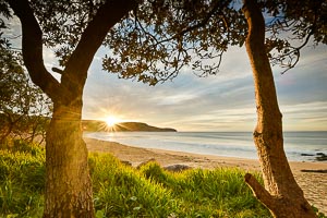 View Killcare Beach