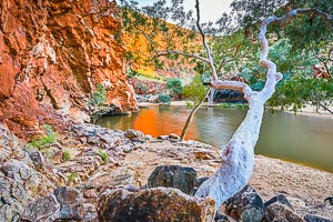 View Macdonnell Ranges