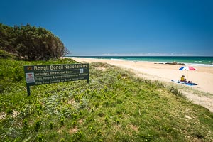 View Bongil Bongil National Park